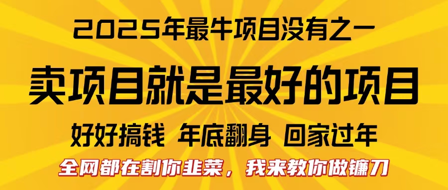 全网都在割你韭菜,我来教你做镰刀。卖项目就是最好的项目,2025年最牛互联网项目