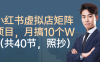 小红书虚拟店矩阵项目，月搞10W（共40节，照抄照做）