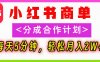 2025副业黑马曝光！0门槛小红书项目，小白也能轻松月入2万+