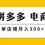 拼多多 电商掘金 3.0