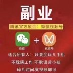 视频号高阶变现项目